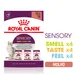 Royal Canin Sensory em molho - Pack misto