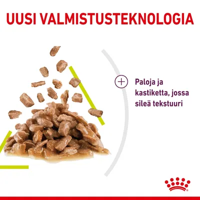 Uusi valmistusteknologia. Paloja ja kastiketta, jossa sileä tekstuuri.