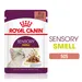Royal Canin Sensory Smell în sos
