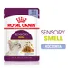 Royal Canin Sensory Smell aszpikban