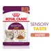 Royal Canin Sensory Taste kastikkeessa