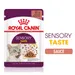 Royal Canin Sensory Taste en sauce pour chat