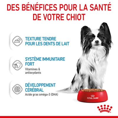 Des bénéfices pour la santé de votre chiot : texture tendre pour les dents de lait, système immunitaire fort (vitamines & antioxydants), développement cérébral (oméga-3 DHA). Royal Canin.