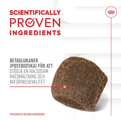 Text: SCIENTIFICALLY PROVEN INGREDIENTS. Betaglukaner (postbiotika) för att stödja en hälsosam matsmältning och avföringskvalitet. Bild på ett foderbit. *Vetenskapligt bevisade ingredienser.