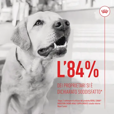 L'84% dei proprietari si è dichiarato soddisfatto dopo 2 settimane di utilizzo del prodotto Royal Canin Digestion Chews Adult Supplements (studio interno Royal Canin)