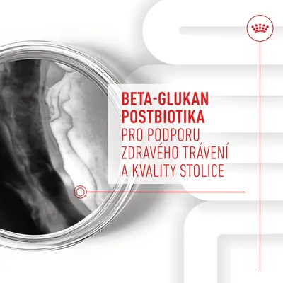 BETA-GLUKAN POSTBIOTIKA PRO PODPORU ZDRAVÉHO TRÁVENÍ A KVALITY STOLICE – text na obrázku s laboratorní miskou