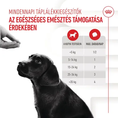 Mindennapi táplálékkiegészítők az egészséges emésztés támogatásához. Etetési útmutató: <5 kg 1/2, 5–14 kg 1, 15–24 kg 2, 25–34 kg 3, >35 kg 4 darab/nap.