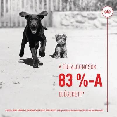 A tulajdonosok 83%-a elégedett* Royal Canin Immunity & Digestion Chews Puppy Supplements 2 hét használat után (belső felmérés).