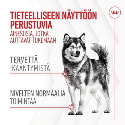Tieteelliseen näyttöön perustuvia ainesosia, jotka auttavat tukemaan tervettä ikääntymistä ja nivelten normaalia toimintaa. Royal Canin -brändi näkyvissä.