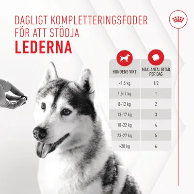 Dagligt kompletteringsfoder för att stödja lederna. Utfodringstabell: hundens vikt <1,5 kg 1/2 bit, 1,5–7 kg 1, 8–12 kg 2, 13–17 kg 3, 18–22 kg 4, 23–27 kg 5, >28 kg 6 per dag.