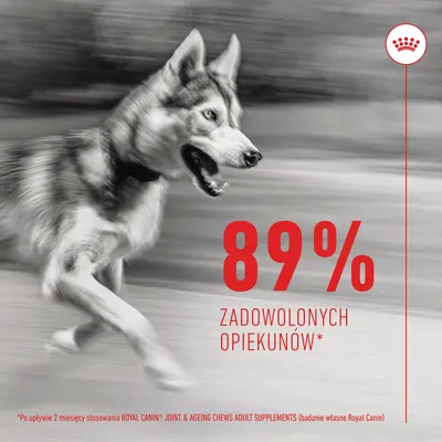 89% zadowolonych opiekunów* Po upływie 2 miesięcy stosowania Royal Canin Joint & Ageing Chews Adult Supplements (badanie własne Royal Canin)