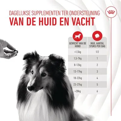 Royal Canin Skin & Coat Adult Kauwsnacks