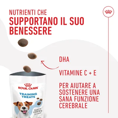 Royal Canin Training Treats. Testo: Nutrienti che supportano il suo benessere. DHA, vitamine C + E per aiutare a sostenere una sana funzione cerebrale.