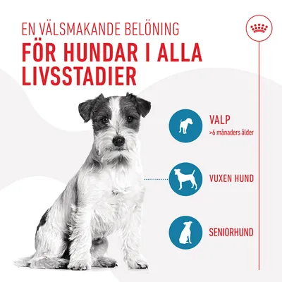 Text: En välsmakande belöning för hundar i alla livsstadier. Valp >6 månaders ålder, vuxen hund, seniorhund. Bild på hund och tre silhuetter för olika åldersgrupper.