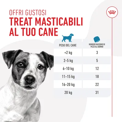 Offri gustosi treat masticabili al tuo cane. Tabella: peso del cane e numero massimo di pezzi al giorno, da 3 per <2 kg a 31 per 20 kg.