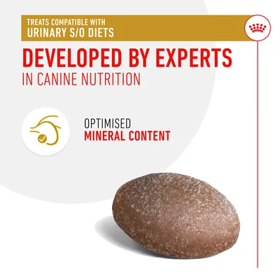 Royal Canin Urinary Snacks