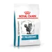 Royal Canin Veterinary Cat - Anallergenic