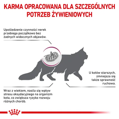 Karma opracowana dla szczególnych potrzeb żywieniowych. Informacje: upośledzenie czynności nerek bez objawów, spadek sprawności ruchowej i wzrost stresu oksydacyjnego u starszych kotów.