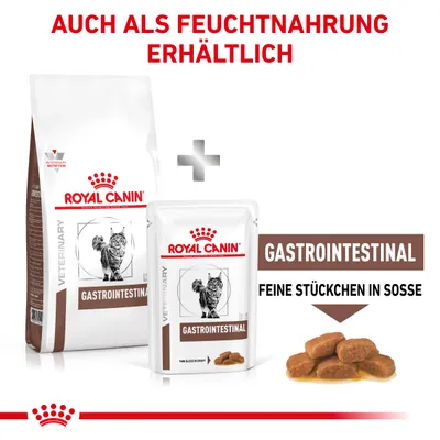 Сухой и влажный корм для кошек Royal Canin Veterinary Gastrointestinal. Видны упаковки и кусочки в соусе. Текст на немецком: AUCH ALS FEUCHTNAHRUNG ERHÄLTLICH, GASTROINTESTINAL, FEINE STÜCKCHEN IN SOSSE.