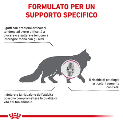 FORMULATO PER UN SUPPORTO SPECIFICO. I gatti con problemi articolari tendono ad avere difficoltà a giocare o saltare. Il rischio di patologie articolari aumenta con l'età. Dolore riduce qualità di vita.