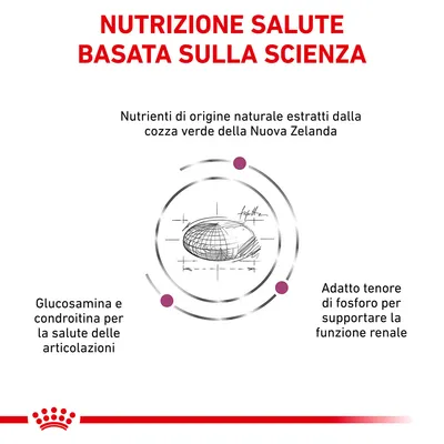 Nutrizione salute basata sulla scienza. Nutrienti di origine naturale estratti dalla cozza verde della Nuova Zelanda, glucosamina e condroitina per articolazioni, fosforo per funzione renale.