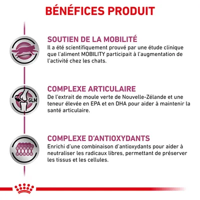 BÉNÉFICES PRODUIT : soutien de la mobilité, complexe articulaire à base de moule verte de Nouvelle-Zélande, complexe d’antioxydants pour préserver tissus et cellules. Texte en fr_BE.