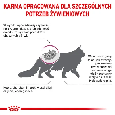 Karma opracowana dla szczególnych potrzeb żywieniowych kotów z chorobami nerek. Widoczne objawy: awersja pokarmowa, zaburzenia trawienne, częstsze oddawanie moczu.