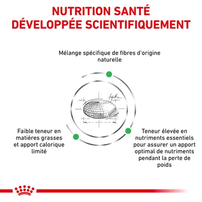 NUTRITION SANTÉ DÉVELOPPÉE SCIENTIFIQUEMENT. Mélange spécifique de fibres d’origine naturelle, faible teneur en matières grasses, teneur élevée en nutriments essentiels pendant la perte de poids.