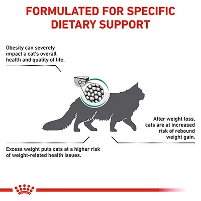 Text: FORMULATED FOR SPECIFIC DIETARY SUPPORT. Obesity can severely impact a cat's overall health and quality of life. Excess weight puts cats at higher risk of health issues. After weight loss, increased risk of rebound weight gain.