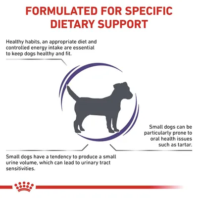 Formulated for specific dietary support. Highlights: healthy habits and diet are essential; small dogs may have oral health issues and urinary sensitivities due to low urine volume.