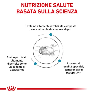 Nutrizione salute basata sulla scienza. Proteine altamente idrolizzate da aminoacidi puri, amido purificato digeribile come unica fonte di carboidrati, processi di qualità con test del DNA.
