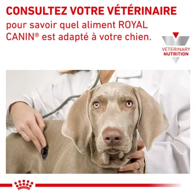Consultez votre vétérinaire pour savoir quel aliment ROYAL CANIN est adapté à votre chien. VETERINARY NUTRITION visible en haut à droite.
