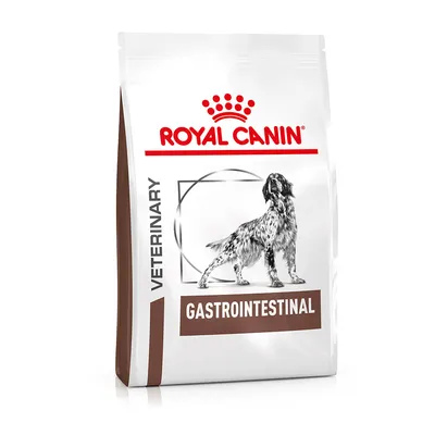 Bag labelled Royal Canin Veterinary Gastrointestinal, showing product name and veterinary indication.