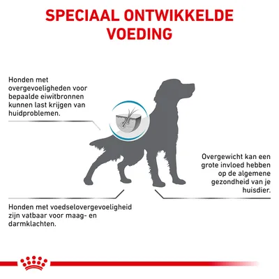 Speciaal ontwikkelde voeding. Honden met overgevoeligheden voor bepaalde eiwitbronnen kunnen huidproblemen krijgen. Voedselovergevoeligheid: vatbaar voor maag- en darmklachten. Overgewicht beïnvloedt gezondheid.