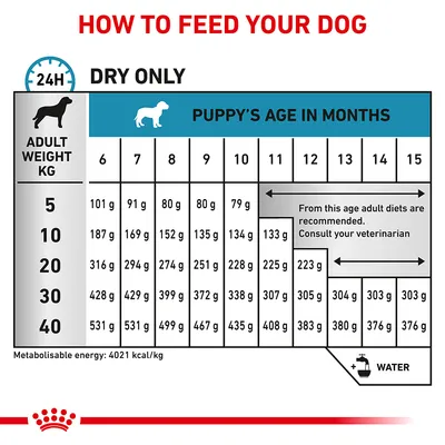 Feeding guide table for dry food showing daily gram amounts by adult weight and puppy age in months, with note to switch to adult diet from month 12 and consult your veterinarian.