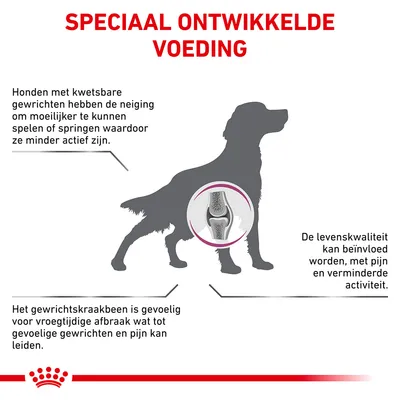 Speciaal ontwikkelde voeding. Honden met kwetsbare gewrichten zijn minder actief, kraakbeen is gevoelig voor afbraak, levenskwaliteit kan dalen door pijn en verminderde activiteit.