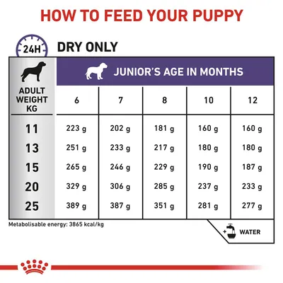 Feeding guide table showing daily dry food amounts in grams for different adult weights and ages in months, from 6 to 12 months. Includes reminder to provide water.