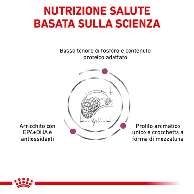 Nutrizione salute basata sulla scienza. Basso tenore di fosforo e contenuto proteico adattato. Arricchito con EPA+DHA e antiossidanti. Profilo aromatico unico e crocchetta a forma di mezzaluna.