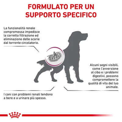 FORMULATO PER UN SUPPORTO SPECIFICO. La funzionalità renale compromessa impedisce la corretta filtrazione. I cani con problemi renali tendono a bere e urinare più spesso. Altri segni visibili descritti.