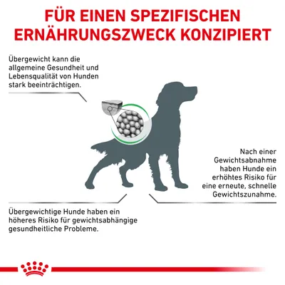 Für einen spezifischen Ernährungszweck konzipiert: Übergewicht beeinträchtigt Gesundheit und Lebensqualität von Hunden. Risiko für schnelle Gewichtszunahme nach Gewichtsabnahme.