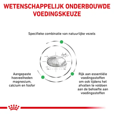 Wetenschappelijk onderbouwde voedingskeuze. Specifieke combinatie van natuurlijke vezels. Aangepaste hoeveelheden magnesium, calcium en fosfor. Rijk aan essentiële voedingsstoffen.