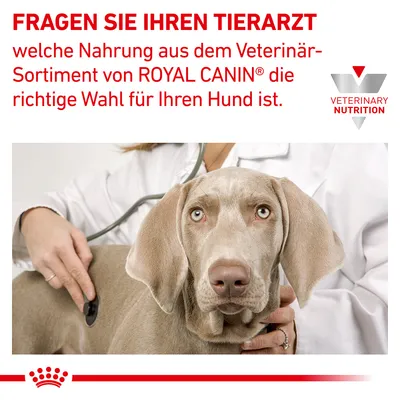 Fragen Sie Ihren Tierarzt, welche Nahrung aus dem Veterinär-Sortiment von Royal Canin die richtige Wahl für Ihren Hund ist. Veterinary Nutrition Logo sichtbar.