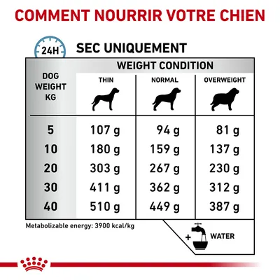 Tableau d’alimentation pour chien : poids 5–40 kg, quantités journalières en grammes selon condition (maigre, normal, surpoids). Exemple : 10 kg, normal 159 g. Eau recommandée.