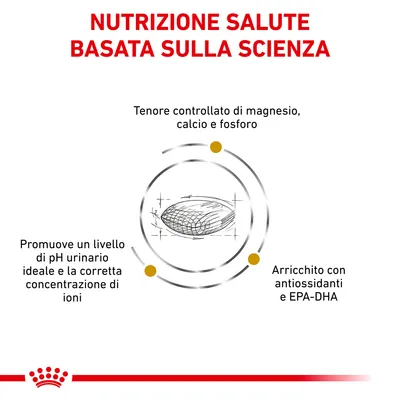 Nutrizione salute basata sulla scienza. Tenore controllato di magnesio, calcio e fosforo. Promuove pH urinario ideale e corretta concentrazione di ioni. Arricchito con antiossidanti ed EPA-DHA.