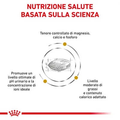 NUTRIZIONE SALUTE BASATA SULLA SCIENZA. Tenore controllato di magnesio, calcio e fosforo. Promuove un livello ottimale di pH urinario e concentrazione di ioni ideale. Livello moderato di grassi e contenuto calorico adattato.