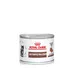 Royal Canin Veterinary Feline Gastrointestinal Kitten Ultra Soft Mousse