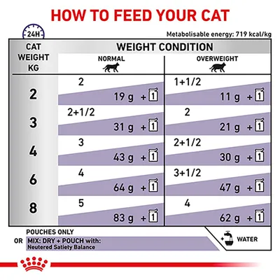 Feeding guide chart showing daily dry and pouch food amounts for cats by weight and condition, with separate columns for normal and overweight. Includes reminder to provide water.