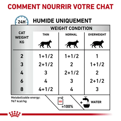 Tableau d’alimentation humide pour chat selon poids (2–8 kg) et condition : mince, normal, en surpoids. Exemples : 3 kg mince 2+1/2, normal 2, surpoids 1+1/2. Énergie 967 kcal/kg.