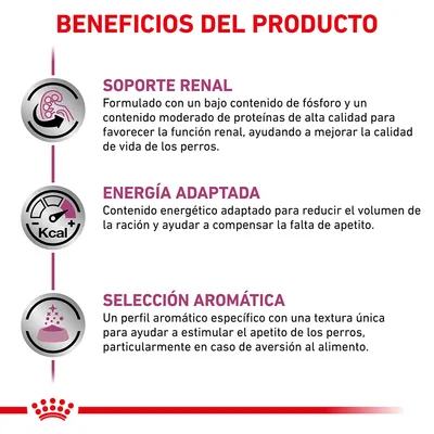 Beneficios del producto: soporte renal, energía adaptada y selección aromática. Textos explicativos sobre función renal, contenido energético y estimulación del apetito en perros.