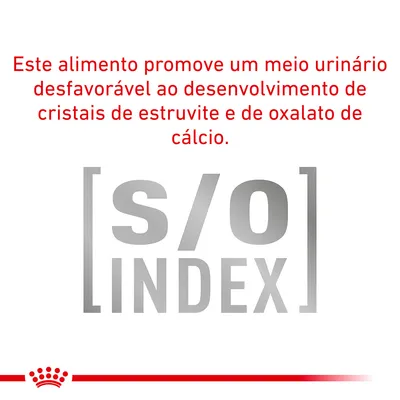 Este alimento promove um meio urinário desfavorável ao desenvolvimento de cristais de estruvite e de oxalato de cálcio. [s/o] INDEX